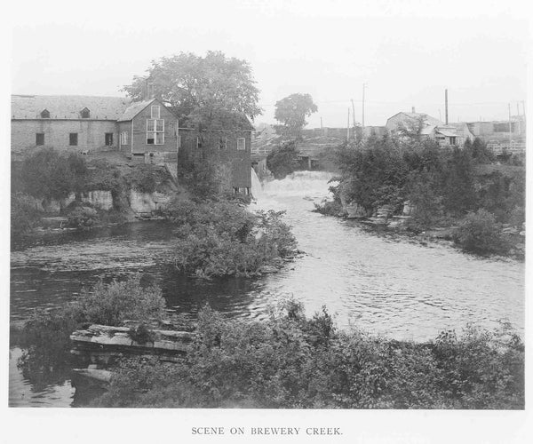 Vintage Ottawa Print: Scene On Brewery Creek