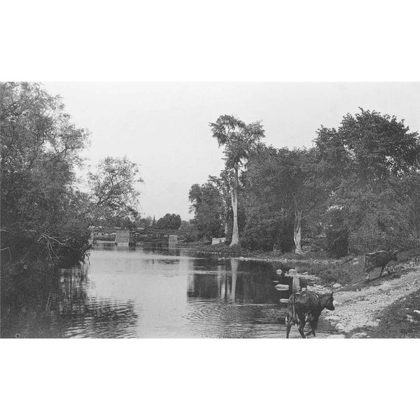 Vintage Ottawa Print: Scene On Rideau Canal