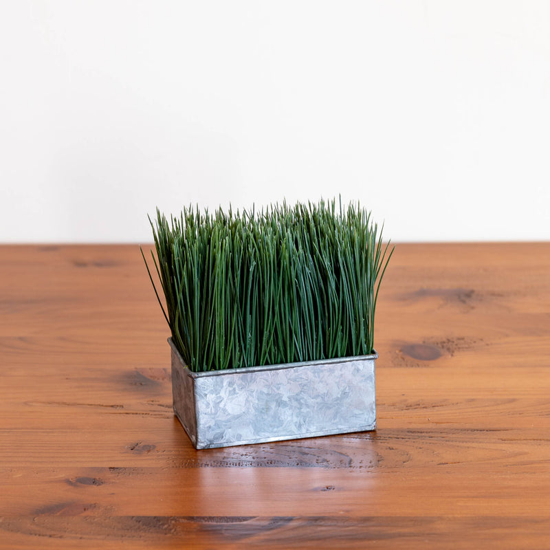 Potted Grass - Silver Tin