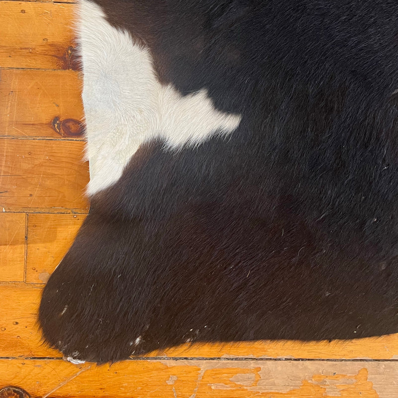 Cowhide in Dark Brown