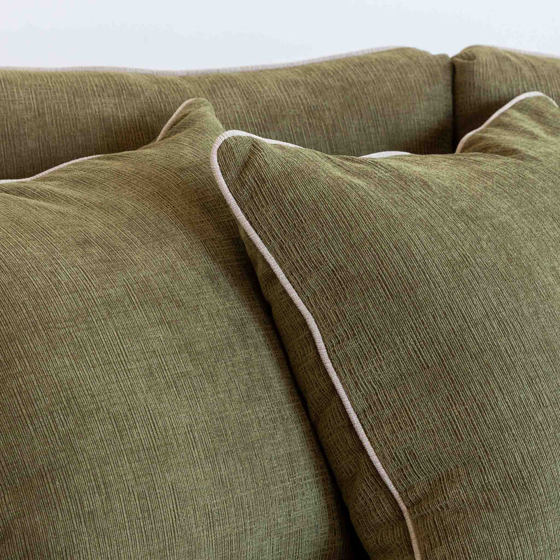 The Danforth Series in Olive