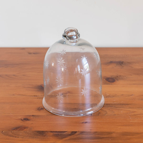Adelaide Etched Bell Jar