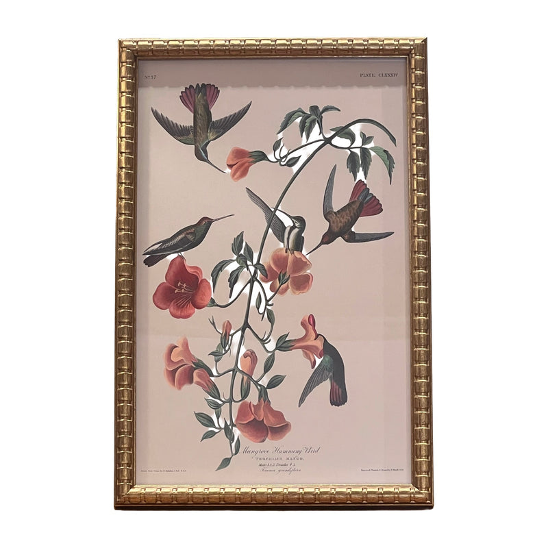 Humming Bird Print