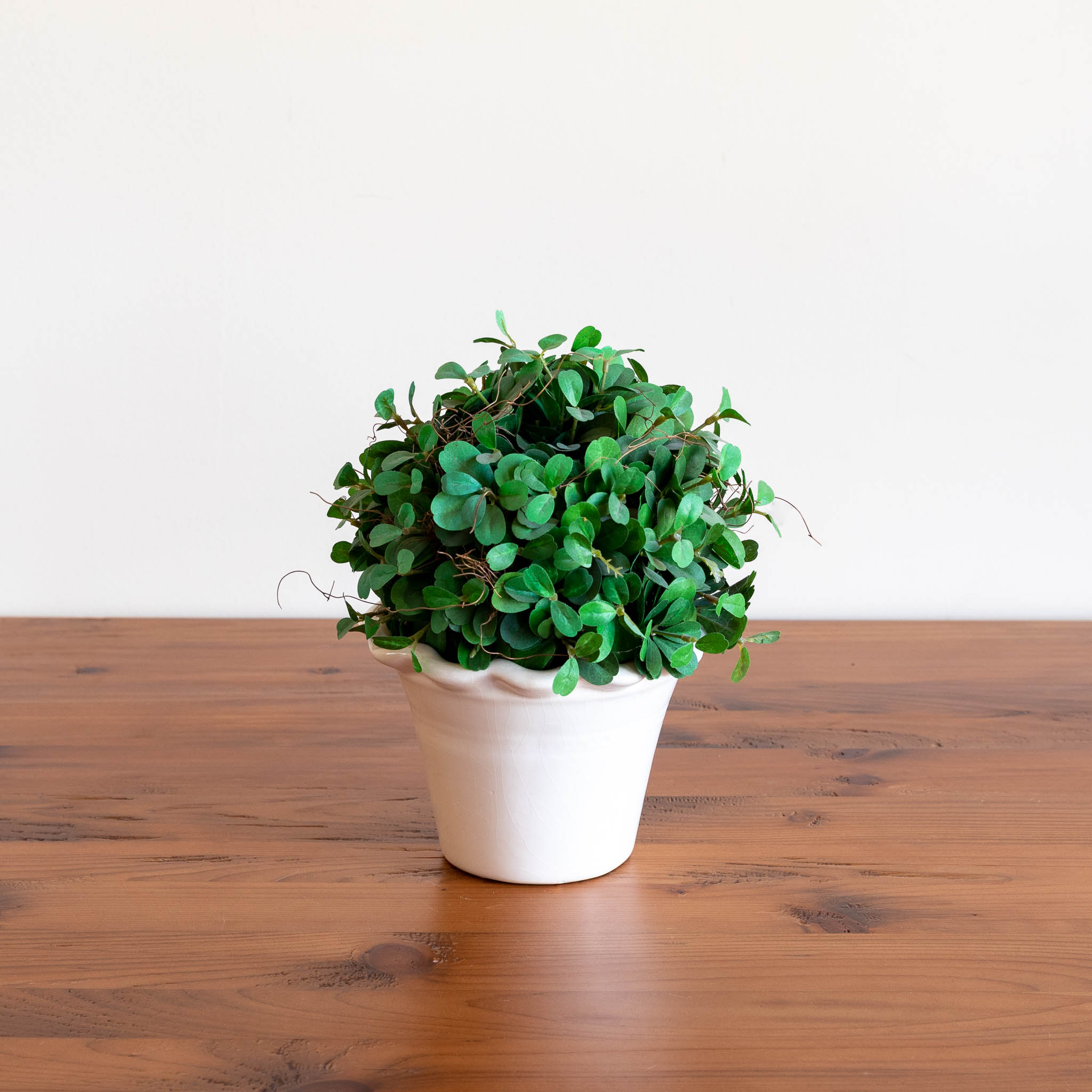 Sphere-Cut Potted Shrub - Medium – The Emporium