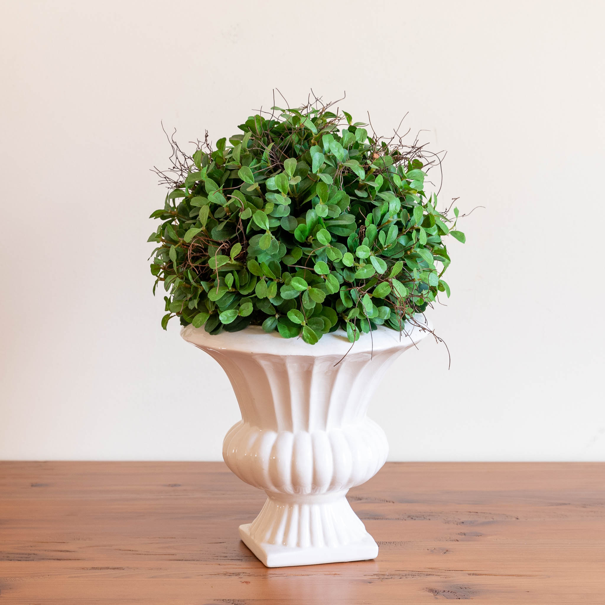 Sphere-Cut Potted Shrub - Tall – The Emporium