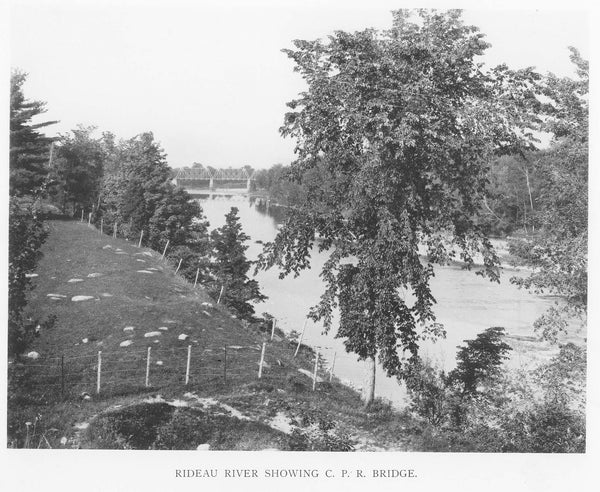 Vintage Ottawa Print: Rideau River Showing C.R.P. Bridge