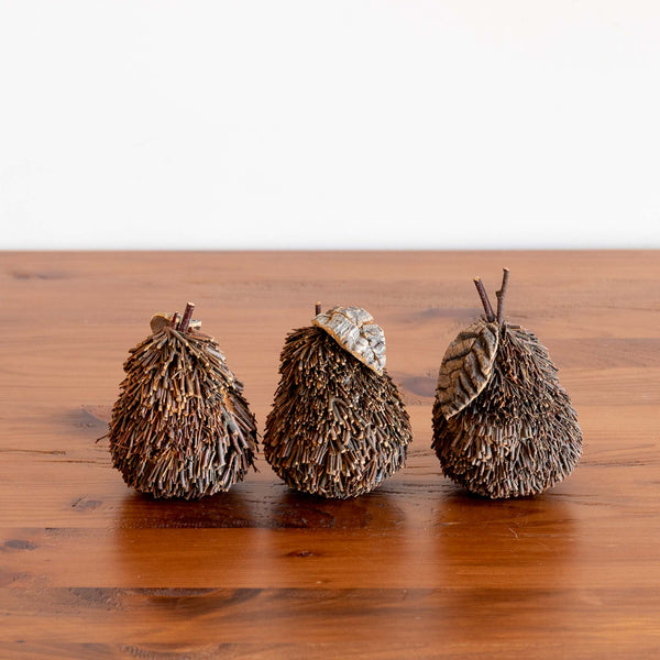 Pear Acorns