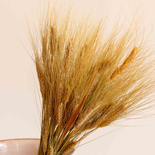 Dried Wheat Grass Bundle