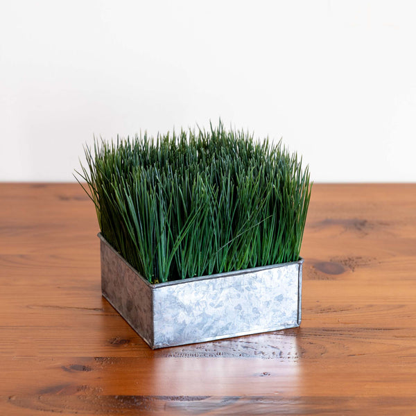 Potted Grass - Silver Tin