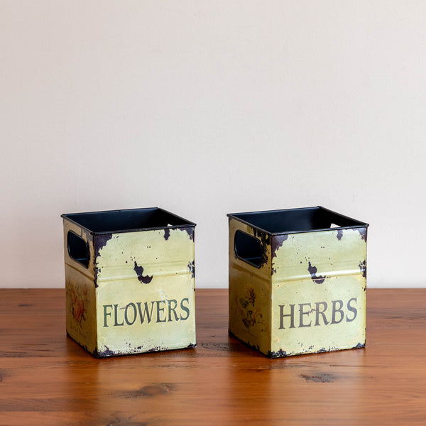 Flowers & Herbs Pots